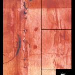 خرید و دانلود نسخه کامل کتاب Gender Transformations (International Library of Sociology)