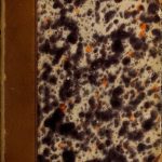 خرید و دانلود نسخه کامل کتاب Geschichte der Sklaverei in den Vereinigten Staaten von Amerika