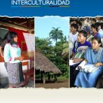 خرید و دانلود نسخه کامل کتاب Gestión pública e interculturalidad