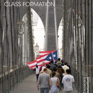 خرید و دانلود نسخه کامل کتاب Global Capitalism and Transnational Class Formation