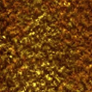 خرید و دانلود نسخه کامل کتاب God-man: The Word Made Flesh