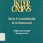 خرید و دانلود نسخه کامل کتاب Hacia la consolidación de la democracia