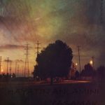 خرید و دانلود نسخه کامل کتاب Hayatın Anlamını Yaşamak