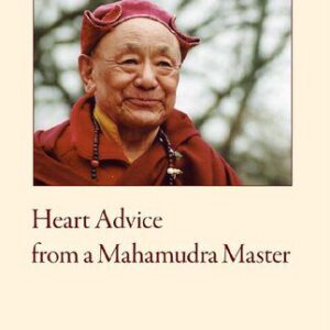 خرید و دانلود نسخه کامل کتاب Heart Advice from a Mahamudra Master