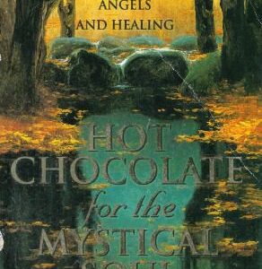 خرید و دانلود نسخه کامل کتاب Hot Chocolate for the Mystical Soul. 101 True Stories of Miracles, Angels and Healing