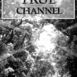 خرید و دانلود نسخه کامل کتاب How To Be A True Channel