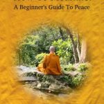 خرید و دانلود نسخه کامل کتاب How To Meditate: A Beginner’s Guide To Peace