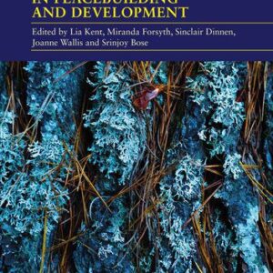 خرید و دانلود نسخه کامل کتاب Hybridity in Peacebuilding and Development: A Critical and Reflexive Approach