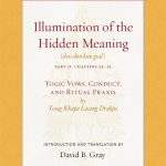 خرید و دانلود نسخه کامل کتاب Illumination of the Hidden Meaning Vol. 2: Yogic Vows, Conduct, and Ritual Praxis (Treasury of the Buddhist Sciences)