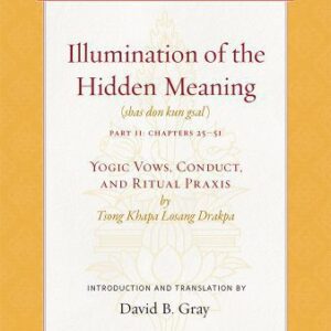 خرید و دانلود نسخه کامل کتاب Illumination of the Hidden Meaning Vol. 2: Yogic Vows, Conduct, and Ritual Praxis (Treasury of the Buddhist Sciences)