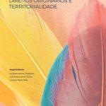 خرید و دانلود نسخه کامل کتاب Índios, direitos originários e territorialidade