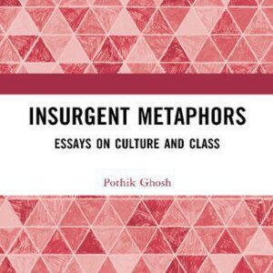 خرید و دانلود نسخه کامل کتاب Insurgent Metaphors: Essays on Culture and Class