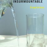 خرید و دانلود نسخه کامل کتاب Insurmountable Simplicities: Thirty-nine Philosophical Conundrums