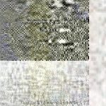 خرید و دانلود نسخه کامل کتاب Interpreting Plato