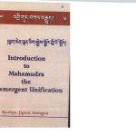 خرید و دانلود نسخه کامل کتاب Introduction to Mahamudra the Co-emergent Unification: An Ornament which is the Luminosity of the Primordial Awareness that Dispels the Darkness of Ignorance