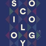خرید و دانلود نسخه کامل کتاب Introduction to Sociology