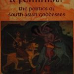 خرید و دانلود نسخه کامل کتاب Is the Goddess a Feminist?: The Politics of South Asian Goddesses