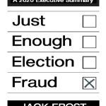 خرید و دانلود نسخه کامل کتاب Just Enough Election Fraud, A 2020 Executive Summary