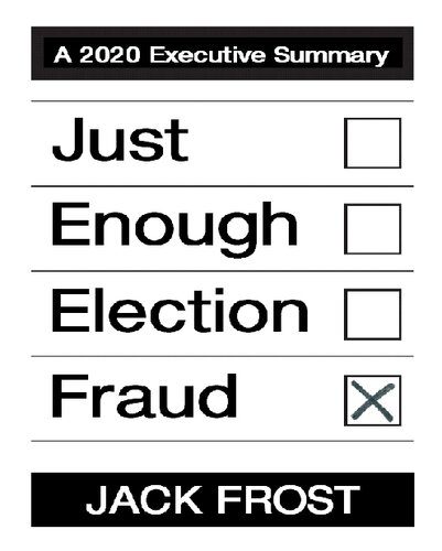 خرید و دانلود نسخه کامل کتاب Just Enough Election Fraud, A 2020 Executive Summary_68e882310b769.jpeg خرید و دانلود نسخه کامل کتاب Just Enough Election Fraud, A 2020 Executive Summary
