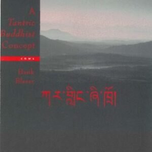 خرید و دانلود نسخه کامل کتاب Kar glin Zi khro: A tantric Buddhism concept (CNWS publications)