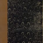 خرید و دانلود نسخه کامل کتاب Kirchenrecht, Bd. 1. Die geschichtlichen Grundlagen