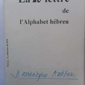 خرید و دانلود نسخه کامل کتاب La 23ème Lettre de l’Alphabet Hébreu