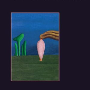 خرید و دانلود نسخه کامل کتاب Le vite che nessuno vede