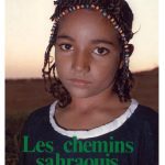 خرید و دانلود نسخه کامل کتاب Les chemins sahraouis de l’espérance