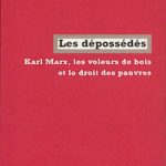 خرید و دانلود نسخه کامل کتاب Les dépossédés. Karl Marx, les voleurs de bois et le droit des pauvres