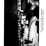 خرید و دانلود نسخه کامل کتاب Letters