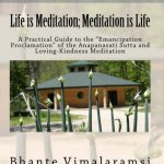 خرید و دانلود نسخه کامل کتاب Life Is Meditation – Meditation Is Life