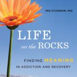 خرید و دانلود نسخه کامل کتاب Life on the Rocks: Finding Meaning in Addiction and Recovery