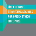 خرید و دانلود نسخه کامل کتاب Línea de base de brechas sociales por el origen étnico en el Perú