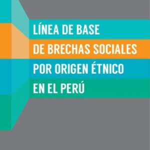خرید و دانلود نسخه کامل کتاب Línea de base de brechas sociales por el origen étnico en el Perú
