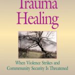 خرید و دانلود نسخه کامل کتاب Little Book of Trauma Healing: When Violence Striked And Community Security Is Threatened