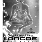 خرید و دانلود نسخه کامل کتاب Longde Teachings: Based on the Original Texts by Vairochana and Dzin Dharmabodhi