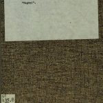 خرید و دانلود نسخه کامل کتاب “Magozi”