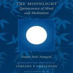 خرید و دانلود نسخه کامل کتاب Mahamudra – The Moonlight: Quintessence of Mind and Meditation