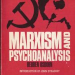 خرید و دانلود نسخه کامل کتاب Marxism and Psychoanalysis