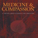 خرید و دانلود نسخه کامل کتاب Medicine & Compassion: A Tibetan Lama’s Guidance for Caregivers