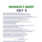 خرید و دانلود نسخه کامل کتاب Mesnevî. 5 cilt