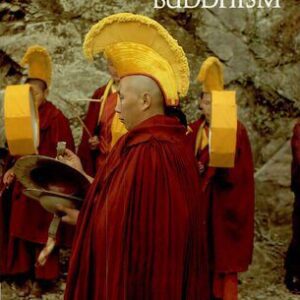 خرید و دانلود نسخه کامل کتاب Mind in Tibetan Buddhism