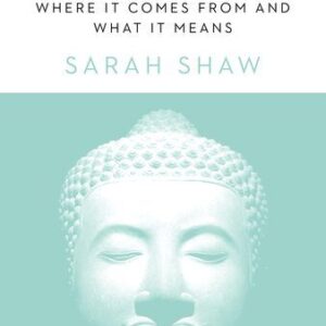 خرید و دانلود نسخه کامل کتاب Mindfulness: Where It Comes From and What It Means