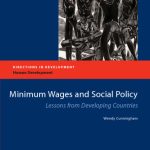 خرید و دانلود نسخه کامل کتاب Minimum Wages and Social Policy: Lessons from Developing Countries (Directions in Development)