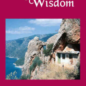 خرید و دانلود نسخه کامل کتاب Monastic Wisdom: The Letters of Elder Joseph the Hesychast