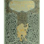 خرید و دانلود نسخه کامل کتاب Myths and Legends of the Celtic Race