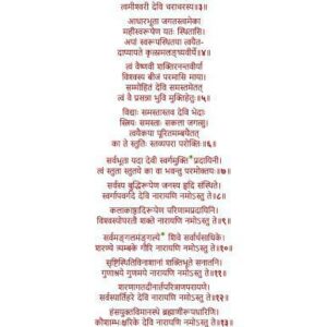 خرید و دانلود نسخه کامل کتاب Narayani Stuti (Devi Mahatmyam)