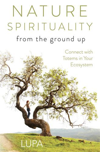 خرید و دانلود نسخه کامل کتاب Nature Spirituality From the Ground Up: Connect with Totems in Your Ecosystem_68e2eeaf179b9.jpeg خرید و دانلود نسخه کامل کتاب Nature Spirituality From the Ground Up: Connect with Totems in Your Ecosystem