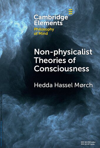 خرید و دانلود نسخه کامل کتاب Non-physicalist Theories of Consciousness_68fa5f0dc1680.jpeg خرید و دانلود نسخه کامل کتاب Non-physicalist Theories of Consciousness