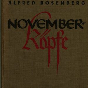 خرید و دانلود نسخه کامل کتاب Novemberköpfe